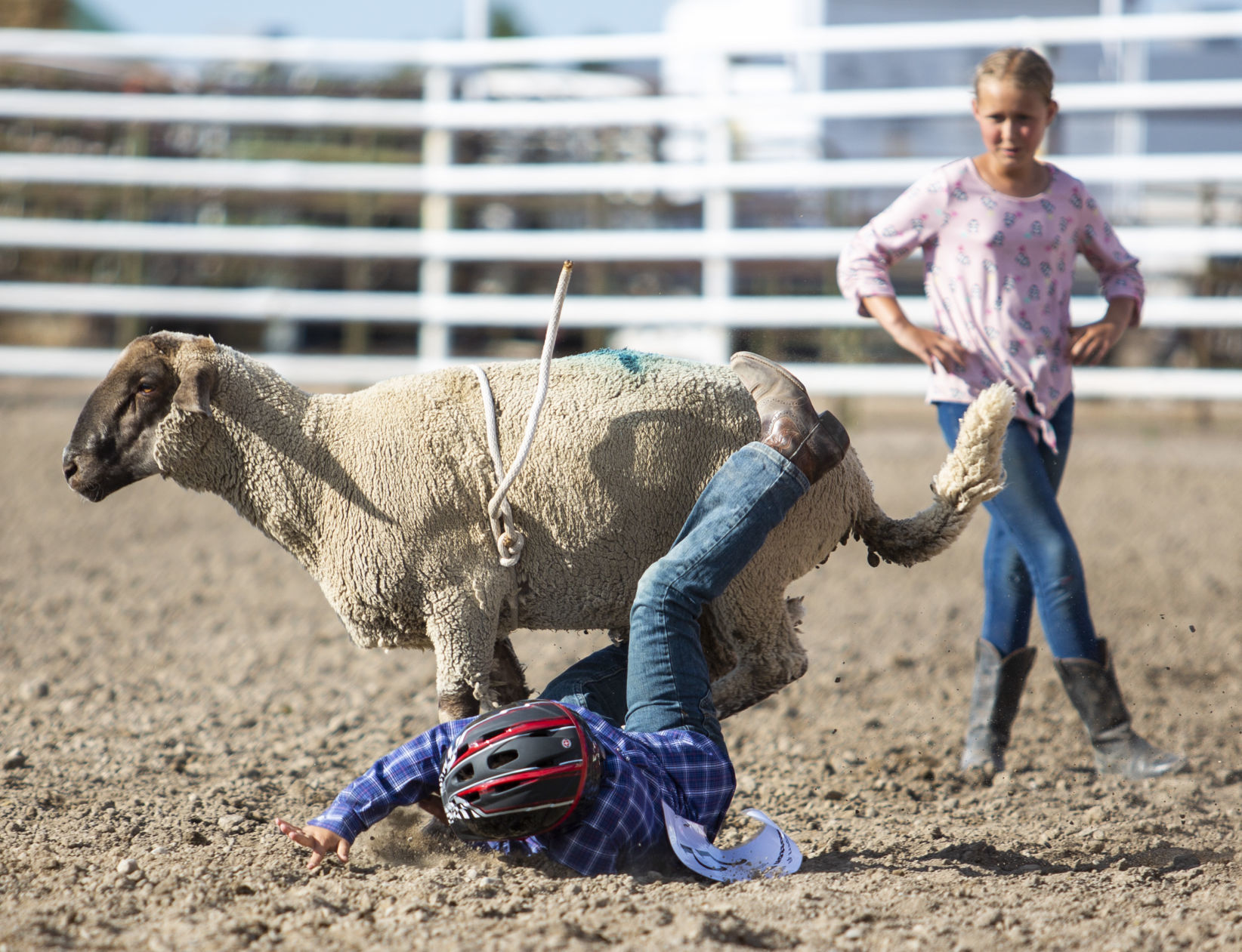 Mutton Busting in Minidoka